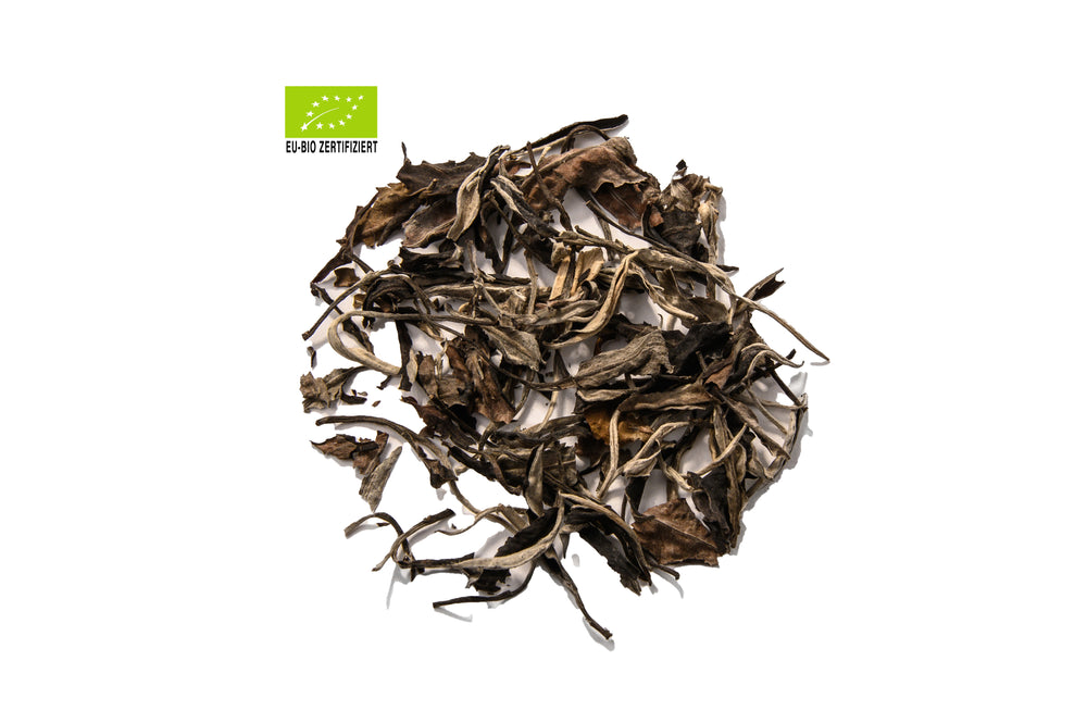 “Sundew” organic yellow tea with peony from CaoBo