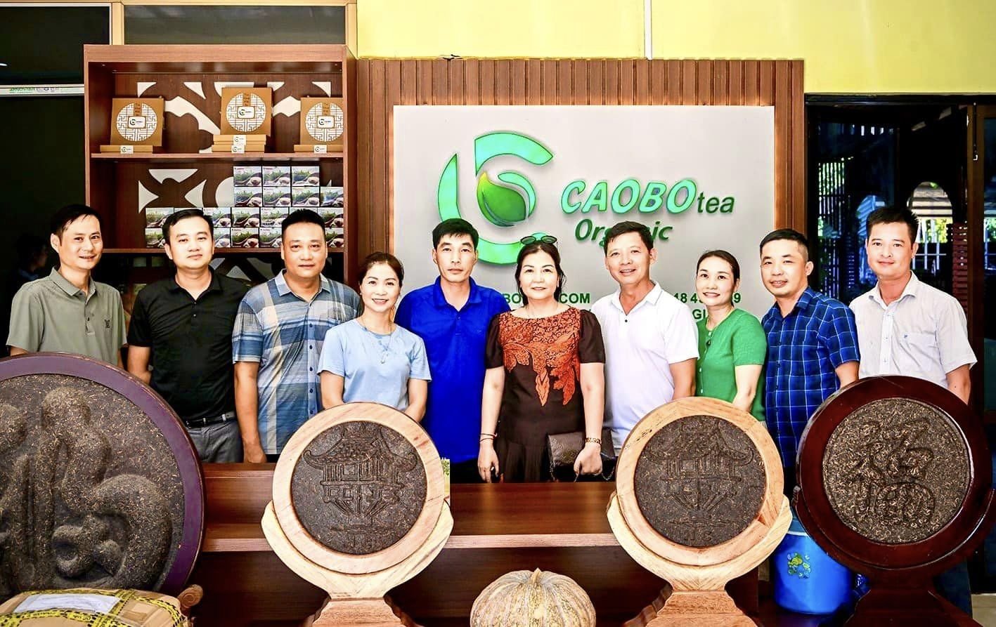 Grüner Tee, Oolong Tee, Schwarzer Tee, Tee Zubehör, Tee Kanne