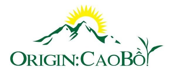 Grüner Tee, Oolong Tee, Schwarzer Tee, Tee Zubehör, Tee Kanne