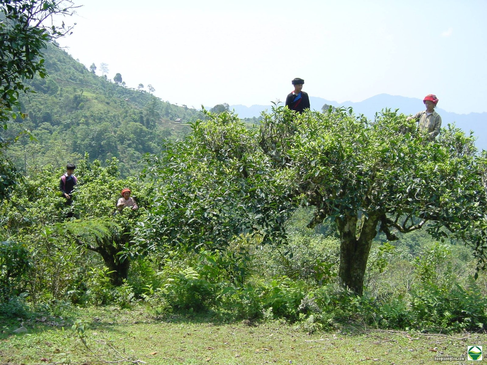 10845644 1550450365221827 9007964739414999556 O