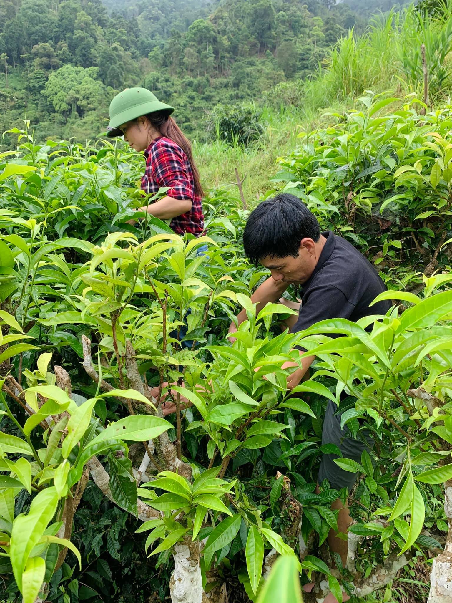 201446773 2839750452958472 3895892848995338438 N