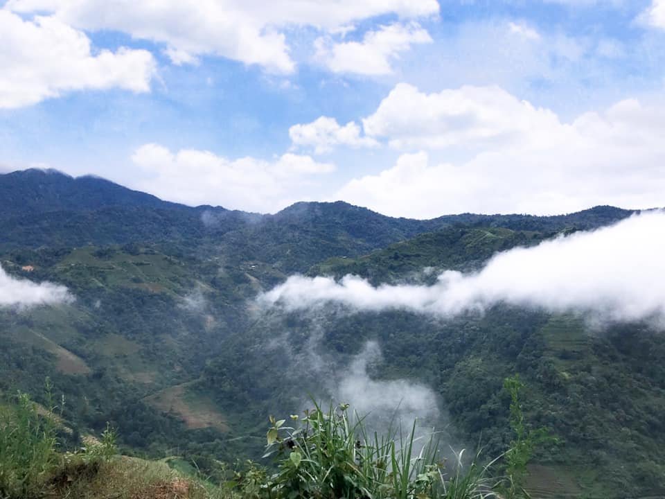 65807820 2281770898756433 2824366207472238592 N