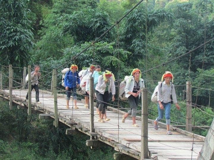 74624073 2405208989745956 6430069184645824512 N